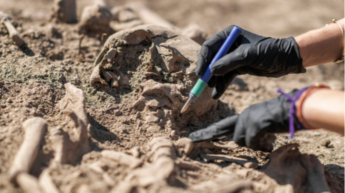 İnsan nəslinin əvvəllər məlum olmayan qolu aşkar edilib