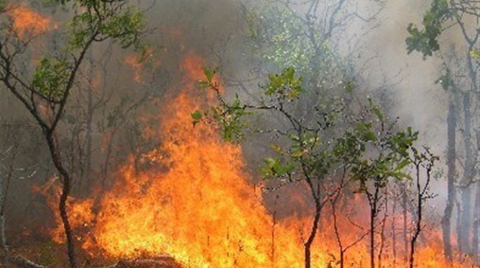 İranda baş vermiş meşə yanğınları ilə bağlı 40 nəfər həbs edilib