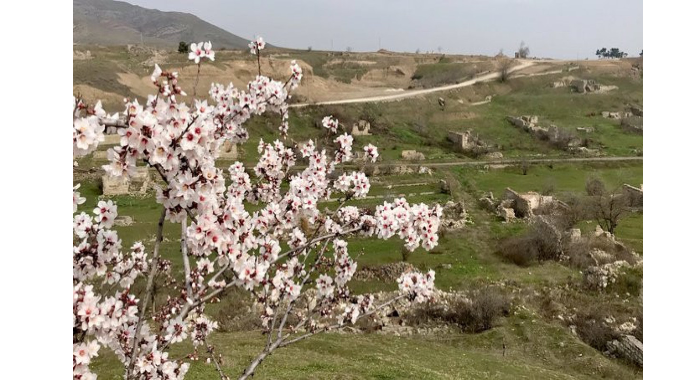 Britaniya səfiri Cəbrayıla səfər edib 