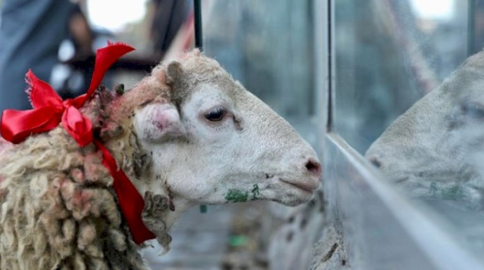Qurban bayramı ilə bağlı qaydalar açıqlandı 