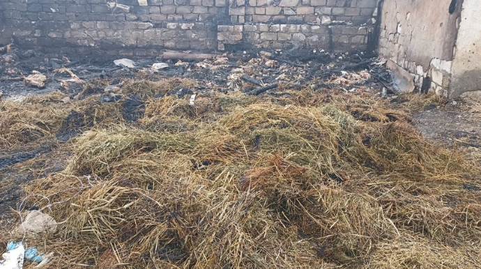 Goranboyda fermanı qəsdən yandırmaqda şübhəli bilinən şəxslər saxlanılıb  - FOTO