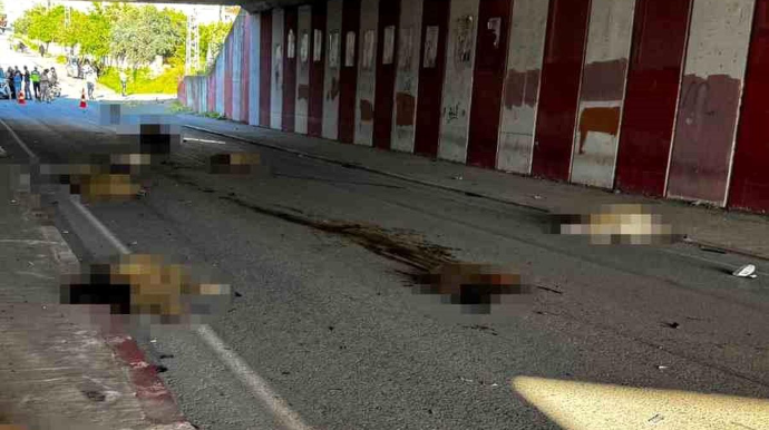 Tuneldə ağır qəza; maşın 17 qoyunu tələf etdi - VİDEO 