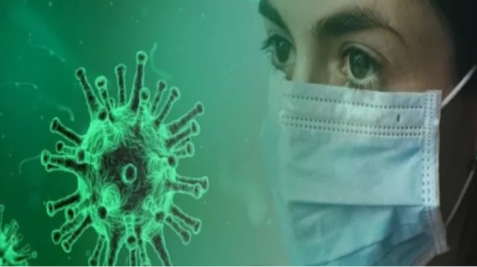 Yeni yarasa virusu və yeni pandemiya riski XƏBƏRDARLIĞI 