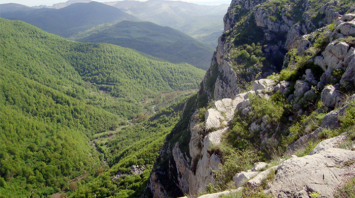 На создание Карабахского учебного центра лесного хозяйства будет потрачено 5 млн манатов