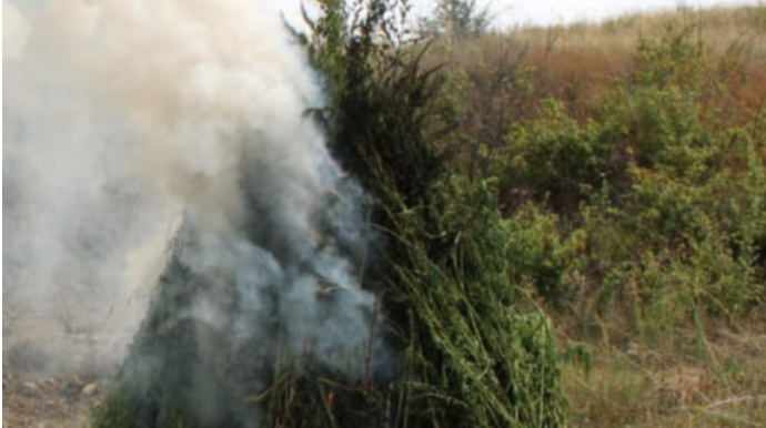 Polis Füzulidə narkotik tapdı - FOTO