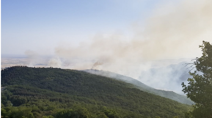 Qəbələdə dağlıq ərazidə baş verən yanğın nəzarət altına alınıb - VİDEO 