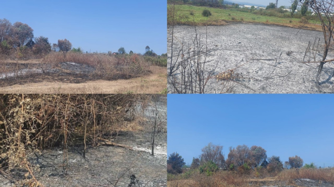 Lənkəranda yanğın törədildi