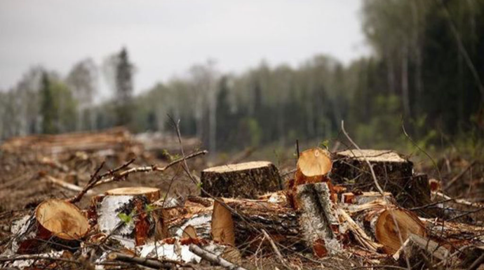 Təbiətə 1 həftədə 63 minlik ziyan vurdular 