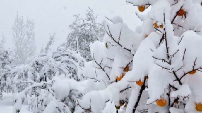 Böyük Qafqazın yüksək dağlıq ərazilərində qar yağıb - FAKTİKİ HAVA 