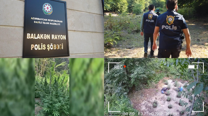 Balakəndə əməliyyat: Silahlı dəstə ifşa olundu - FOTO - VİDEO