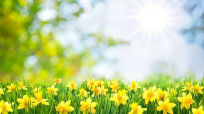 Sabah 35 dərəcə isti olacaq