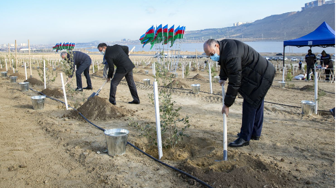 Gömrükçülər növbəti dəfə ağac əkdilər - FOTO