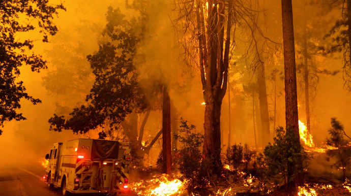 ABŞ-da meşə yanğını ilə əlaqədar fövqəladə vəziyyət elan edilib  