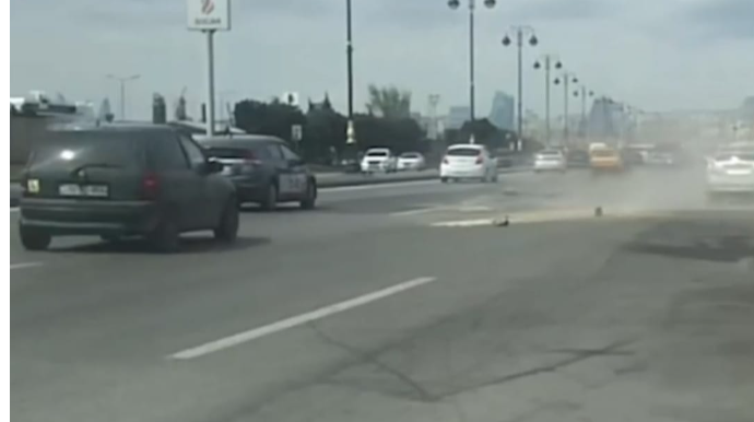 Bakıda yola qoyulan işarə “Prius”u qəzaya saldı - VİDEO 