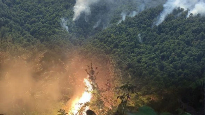 ETSN-dən Qəbələdəki yanğınla bağlı AÇIQLAMA 