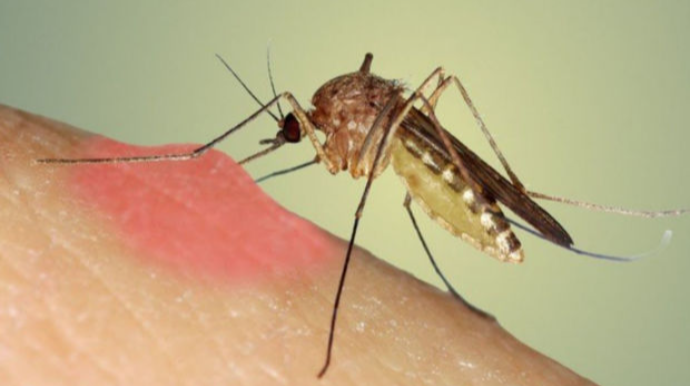 Bakı küçələri niyə dezinfeksiya olunmur?   - VİDEO