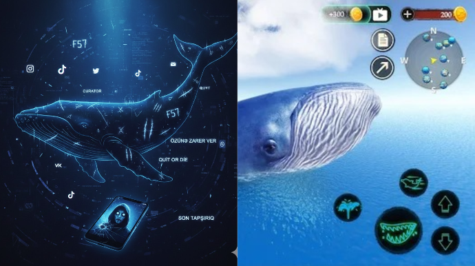 Gəncləri və yeniyetmələri ölümə sürükləyən "Mavi Balina" ilə bağlı ŞOK AÇIQLAMA