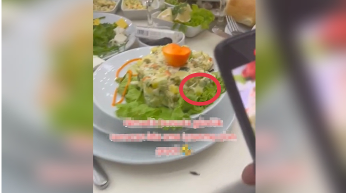 Bakıda keçirilən toyda salatın içindən qurd çıxdı  - VİDEO