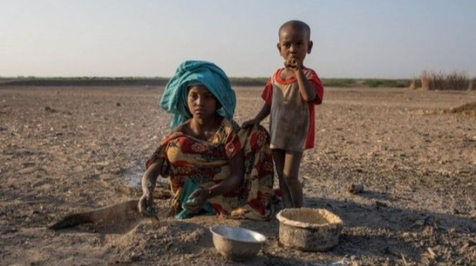 ООН выделила 100 млн долларов на борьбу с голодом
