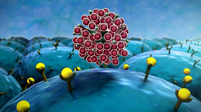 Delta ştammı təhlükəsinə görə Azərbaycan vaksinin 3-cü dozası ilə bağlı qərar verməlidir - TƏKLİF   - FOTO