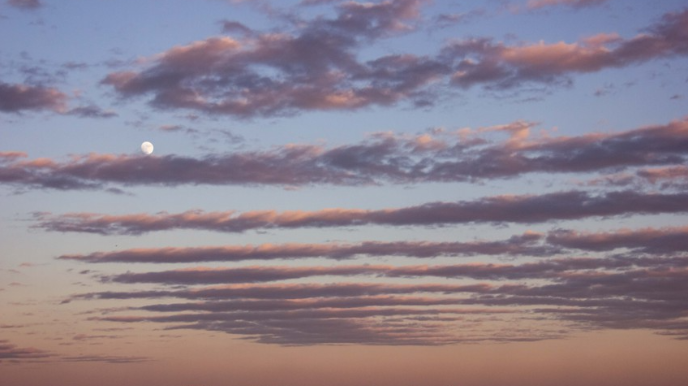 Sabahın hava proqnozu açıqlandı