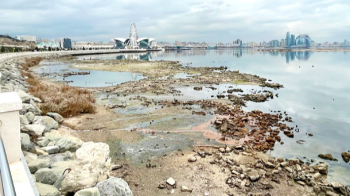 Xəzər dənizinin səviyyəsi rekord həddə enib