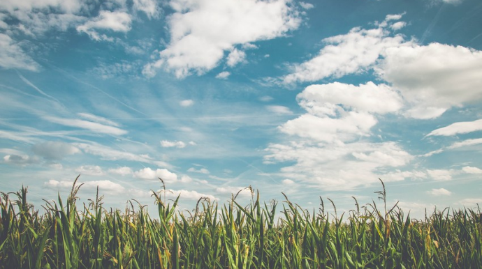 Sabaha gözlənilən hava proqnozu açıqlanıb