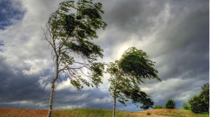 Sabah güclü külək əsəcək