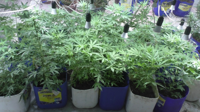 Balakəndə narkotik vasitələrin emal edildiyi laboratoriya aşkarlanıb  - FOTO