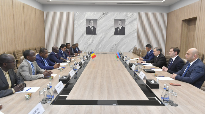 RİNN-də Boukar Mişel ilə görüş keçirilib - FOTOLAR 