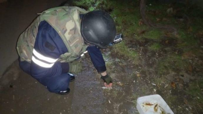В Сиязанском районе обнаружен артиллерийский снаряд, а в Баку - чека от гранаты   - ФОТО - ВИДЕО