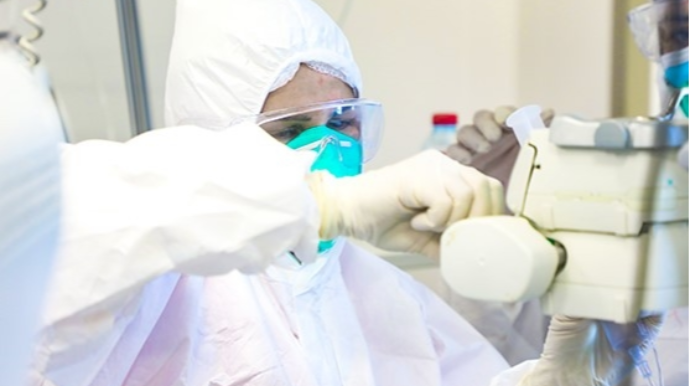 Yoluxanların sayı yenidən artır, necə edək azalsın?