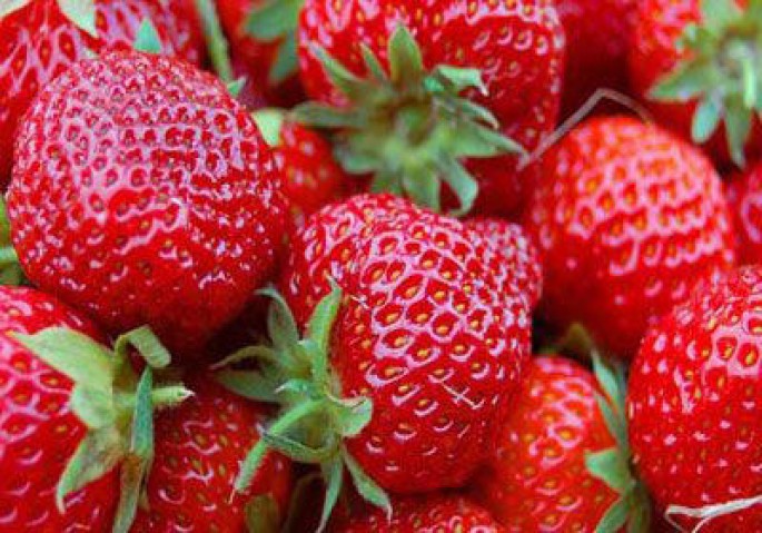 Çiyələyin içindən iynə çıxdı - Bu dəfə Yeni Zelandiyada