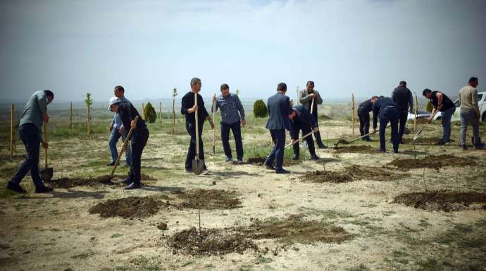 “Yaşıl dünya naminə həmrəylik ili” çərçivəsində növbəti ağacəkmə aksiyası keçirilib  - FOTO