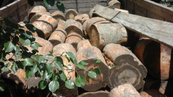 “Mercedes-Benz”dən qanunsuz yolla əldə edilən oduncaqlar aşkarlanıb