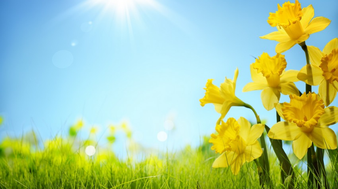 Sabahın hava proqnozu AÇIQLANDI