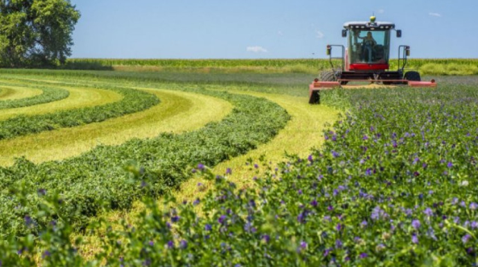 Bu torpaqlarda tikintiyə icazə veriləcək