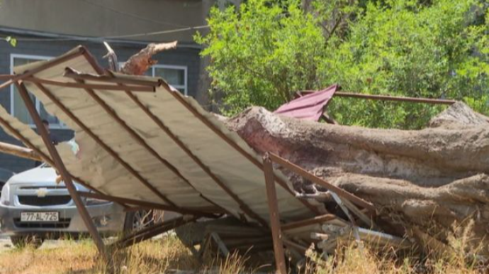 Aylardır həll edilməyən problem bir neçə dəqiqəyə aradan qaldırıldı  - VİDEO