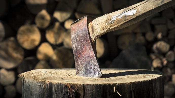 Ağac kəsənlərlə bağlı polisə müraciət olundu