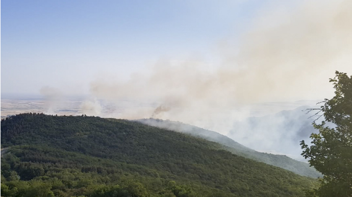 Qəbələdə meşə yanğınının söndürülməsinə 2 helikopter cəlb olunub- VİDEO 