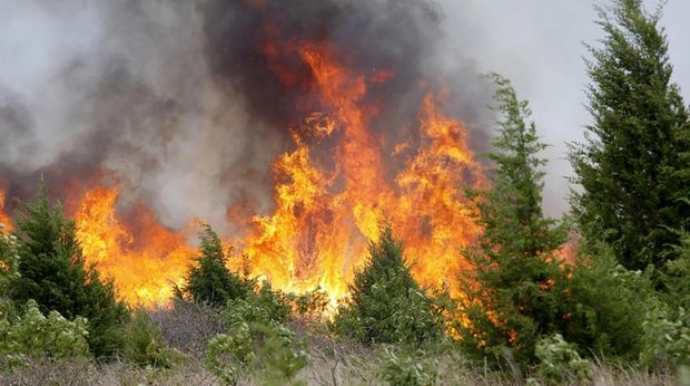 Ermənilərin atdığı mərmi səbəbindən Horadiz ərazisində yanğın başlayıb  - FOTO