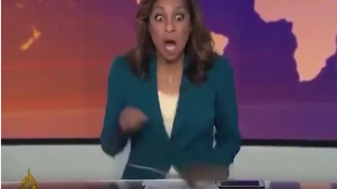 Canlı efirə girən siçovul gündəm oldu - VİDEO