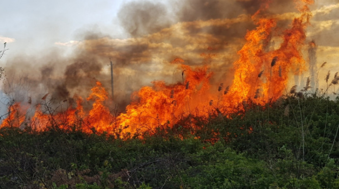 Şimal bölgəsində bütün yanğınlar tam söndürüldü - VİDEO 