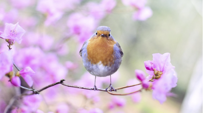 Sabah hava yağmursuz olacaq - PROQNOZ 