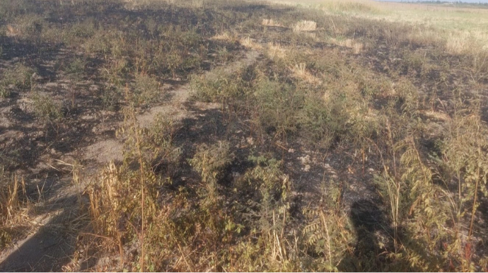 Ставшая причиной пожара в Агсу женщина привлечена к ответственности