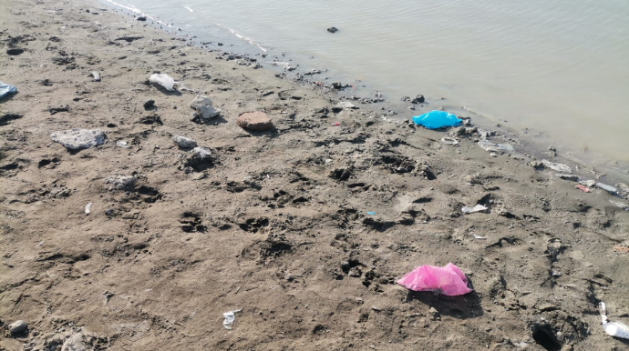 Mingəçevirdə ətraf mühiti çirkləndirənlər barəsində tədbir görülüb  - FOTO