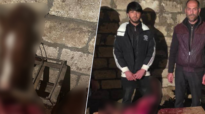 146 kq at ətini mal əti adı ilə Bakıda satacaqdılar - FOTOLAR 