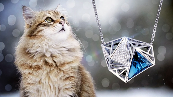 Zərgərlər ev heyvanlarının tükündən qiymətli daş-qaşlar düzəltməyə başlayıblar 