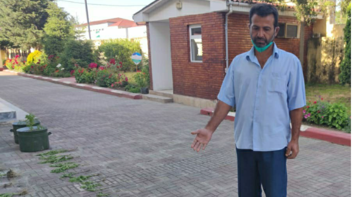 Astarada çətənə bitkiləri yetişdirən şəxs saxlanıldı - FOTO 