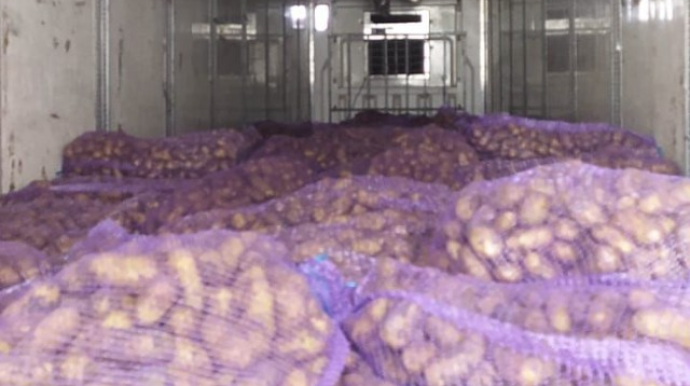 Gürcüstandan idxal olunan kartofda uyğunsuzluq aşkarlandı - FOTO 